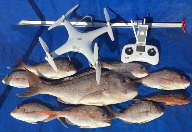 Drone fishing catch, eight snapper and a gurnard
