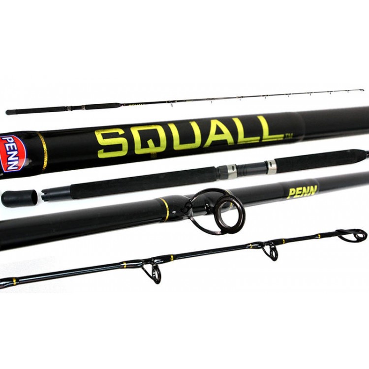 Penn Squall 6ft 10-15kg 1 Piece Overhead Rod PSQ601MH